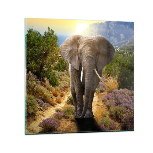 Impression sur verre - Image sur verre - Voilà à quoi ressemblait l'Eden - 70x70 cm