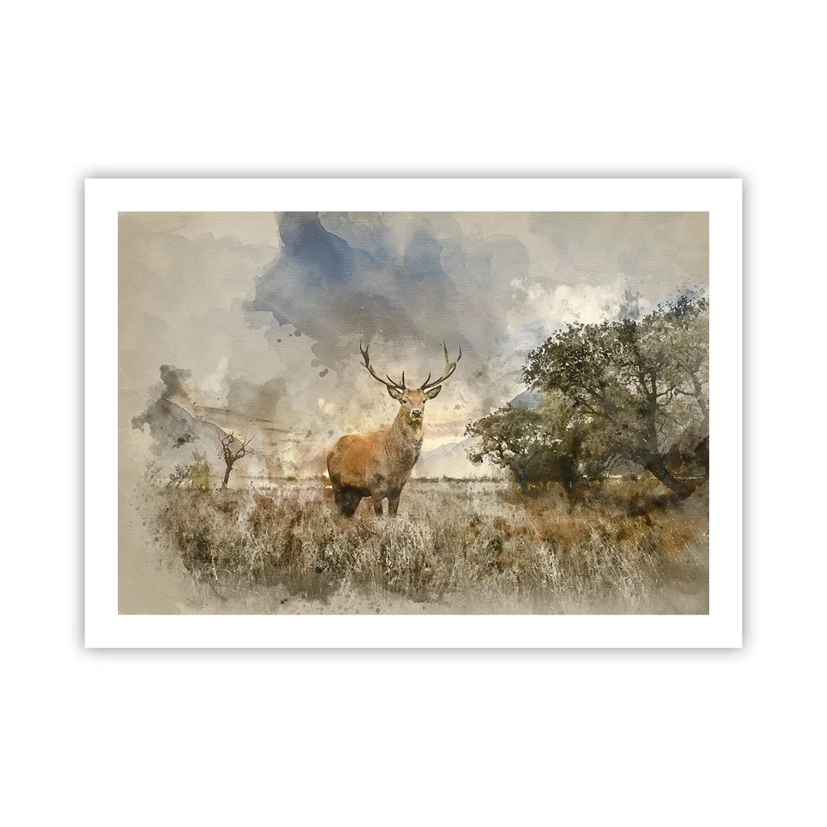 Affiche - Poster - Dignité - force - majesté - 70x50 cm