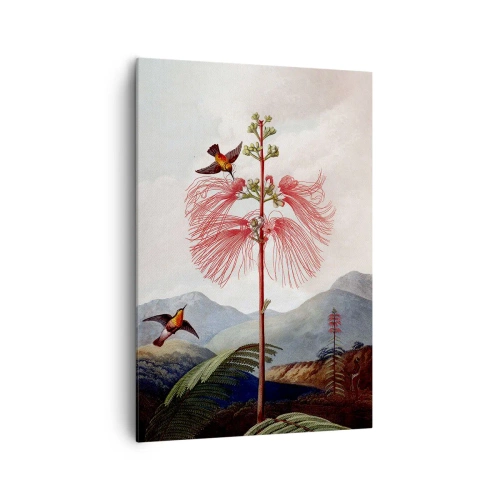 Impression sur toile - Image sur toile - Dans un paradis tropical - 70x100 cm