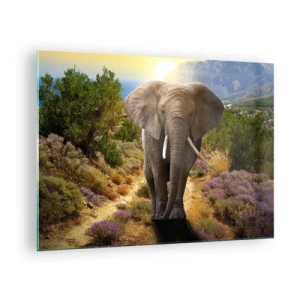 Impression sur verre - Image sur verre - Un éléphant dans un paysage de montagne au coucher du soleil - 70x50cm - Voilà à quoi ressemblait l'Eden - Décoration murale moderne pour le salon et la chambre ARTTOR