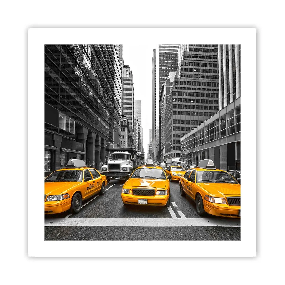 Affiche - Poster - C'est nous qui colorons la ville - 50x50 cm