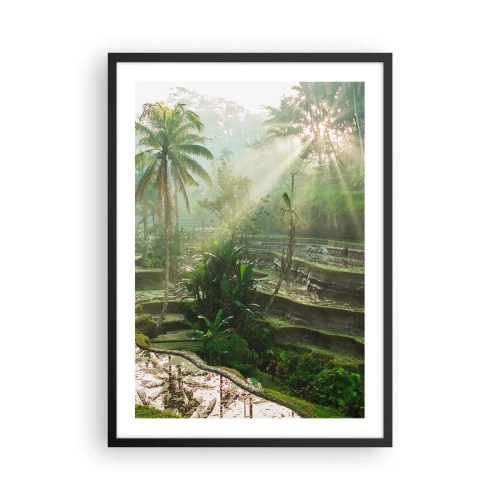 Affiche dans un cadre noir - Poster - Paysage tropical avec rizières en terrasses et soleil - 50x70cm - Grandir au soleil - Décoration murale moderne pour le salon et la chambre ARTTOR