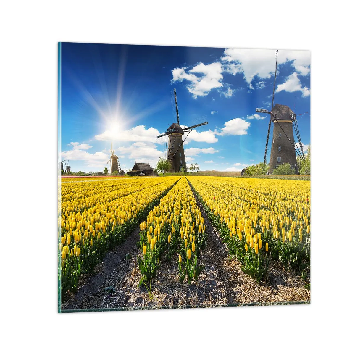 Impression sur verre - Image sur verre - Ça ne pourrait pas être plus hollandais - 30x30 cm