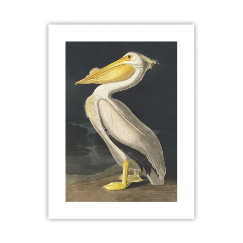 Affiche - Poster - Plein de fierté - 30x40 cm