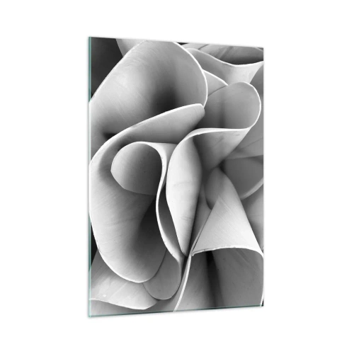 Impression sur verre - Image sur verre - Gros plan noir et blanc de formes spirales abstraites - 50x70cm - Il s'en passe dans l'espace - Décoration murale moderne pour le salon et la chambre ARTTOR