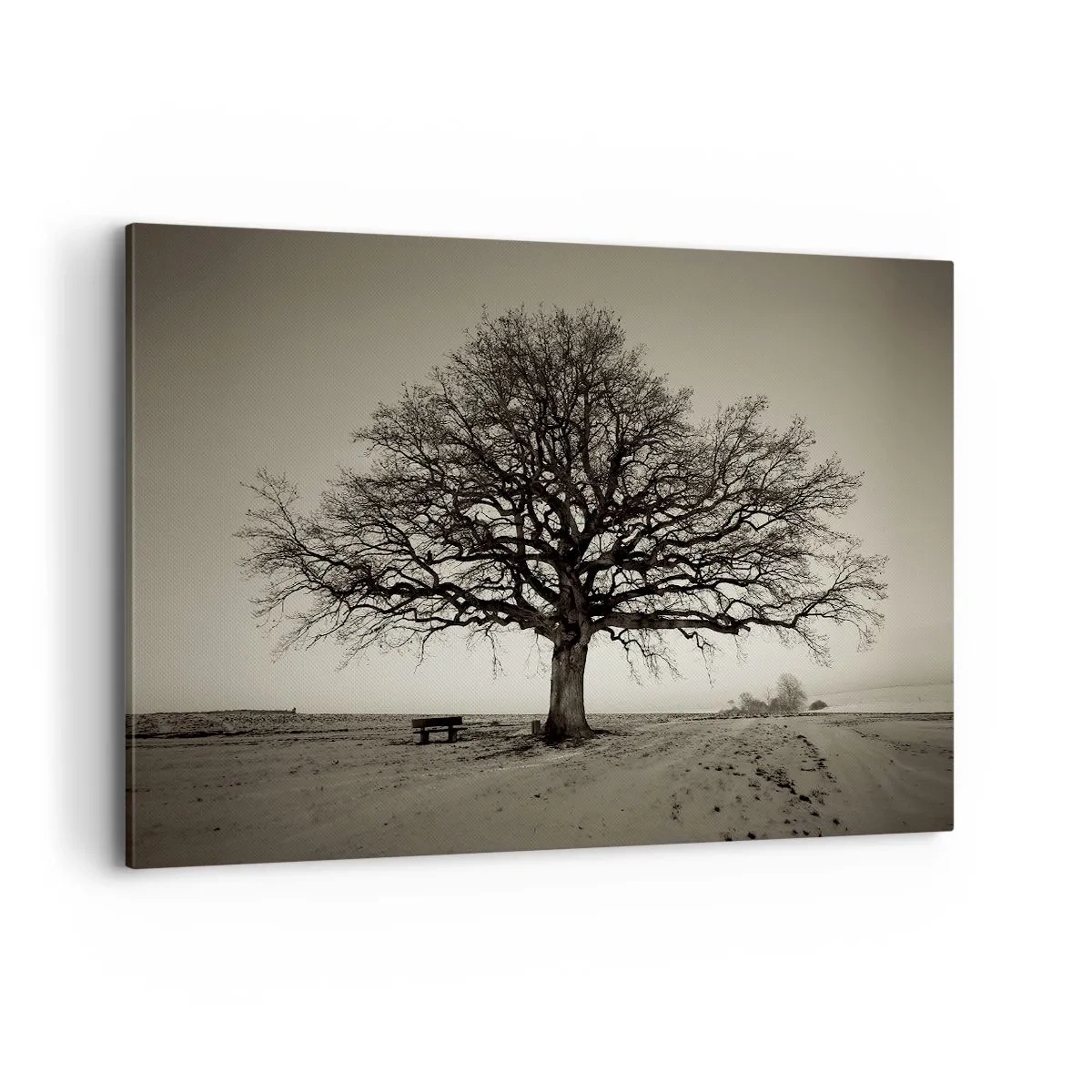 Impression sur toile - Image sur toile - Un arbre solitaire dans un champ de sépia - 120x80cm - D'ici à l'éternité - Décoration murale moderne pour le salon et la chambre ARTTOR
