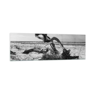 Impression sur verre - Image sur verre - Paysage noir et blanc avec un arbre mort sur la plage - 160x50cm - Sculpture marine - Décoration murale moderne pour le salon et la chambre ARTTOR