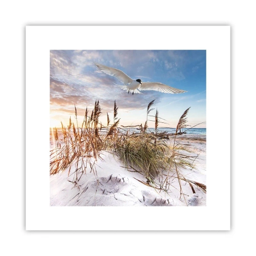 Affiche - Poster - Vent de mer - 30x30 cm