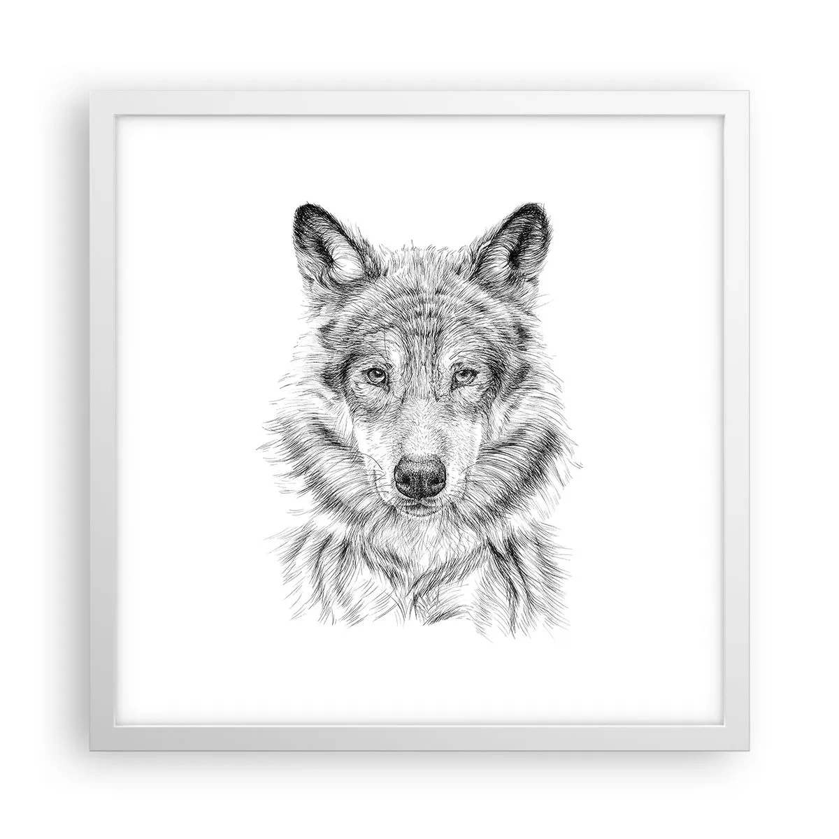 Affiche dans un cadre blanc - Poster - Un leader né - 40x40 cm