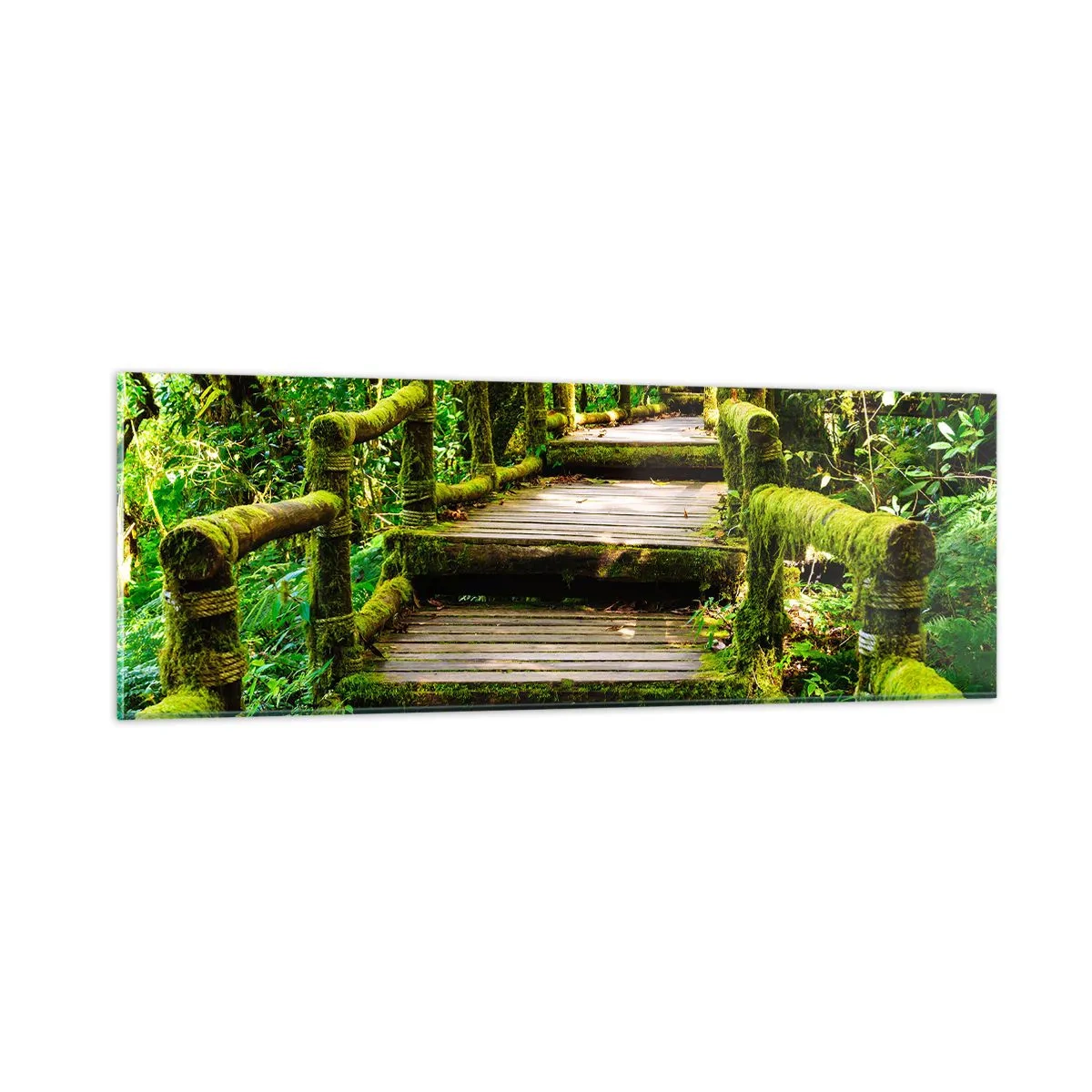 Impression sur verre - Image sur verre - Un couloir de verdure - 90x30 cm