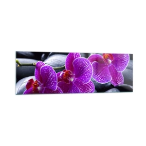 Impression sur verre - Image sur verre - Orchidées violettes sur fond de pierres noires - 160x50cm - Les pierres brillaient de joie - Décoration murale moderne pour le salon et la chambre ARTTOR