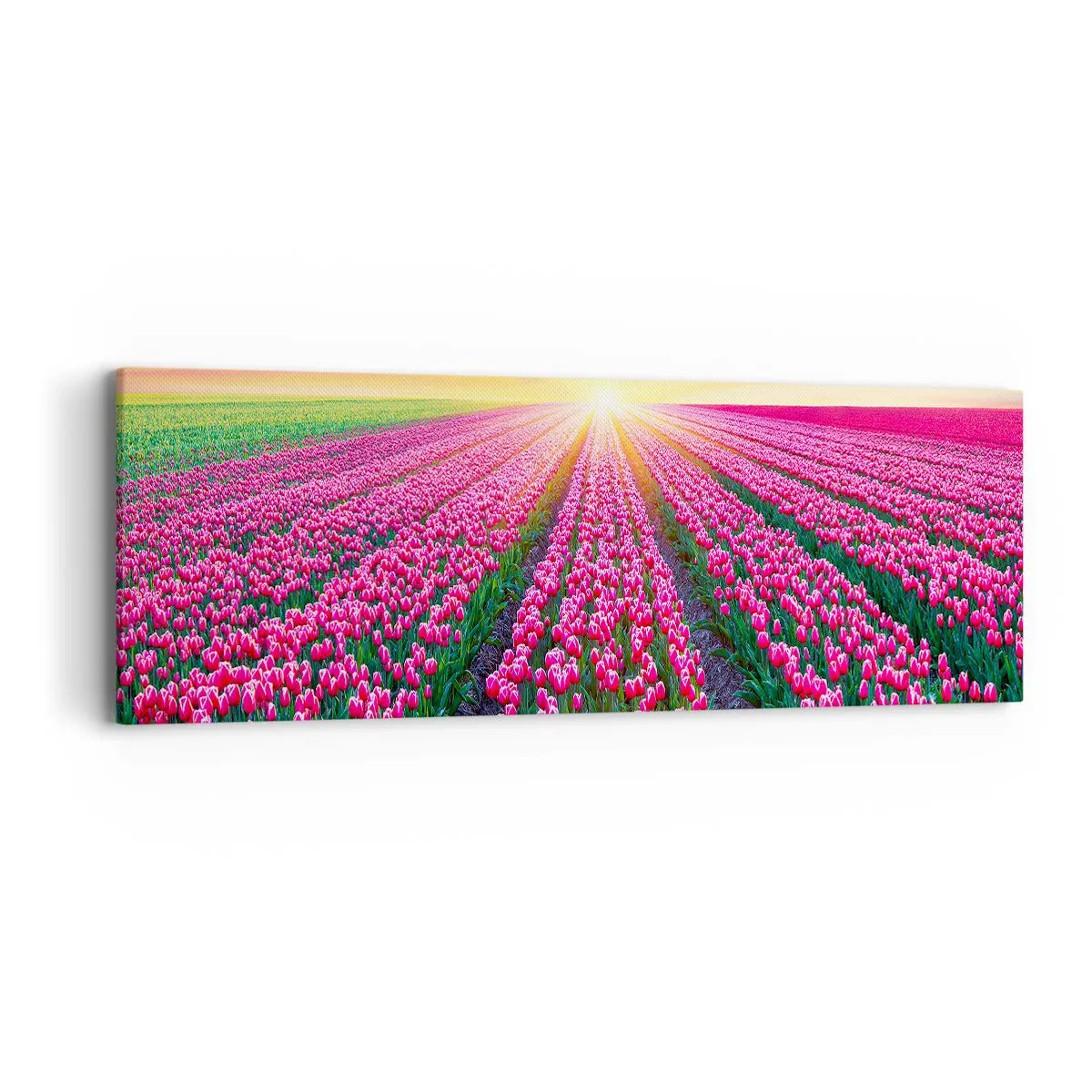 Impression sur toile - Image sur toile - Ferme de la beauté - 90x30 cm