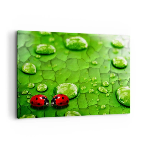 Impression sur toile - Image sur toile - Deux coccinelles sur une feuille avec des gouttes d'eau en macrophotographie - 100x70cm - Rendez-vous au vert - Décoration murale moderne pour le salon et la chambre ARTTOR