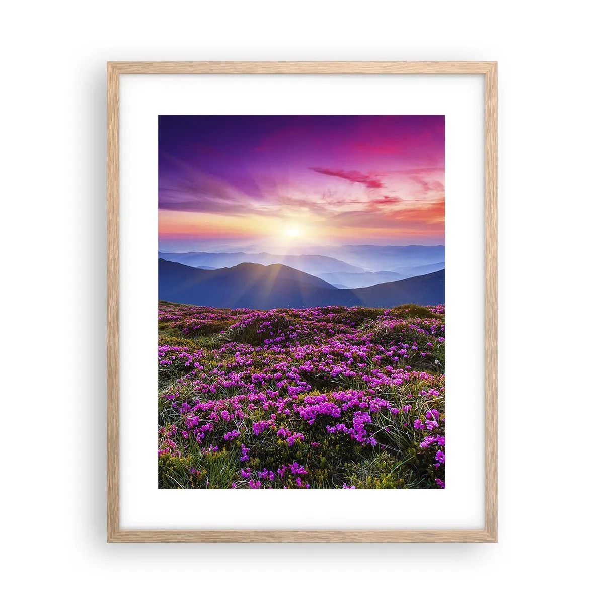 Affiche dans un chêne clair - Poster - Les herbes sentaient les grappes fraîches de la récolte - 40x50 cm