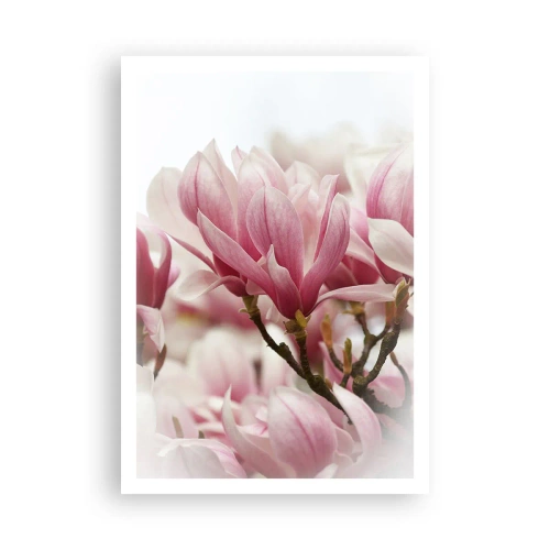 Affiche - Poster - Fleurs de printemps - 70x100 cm