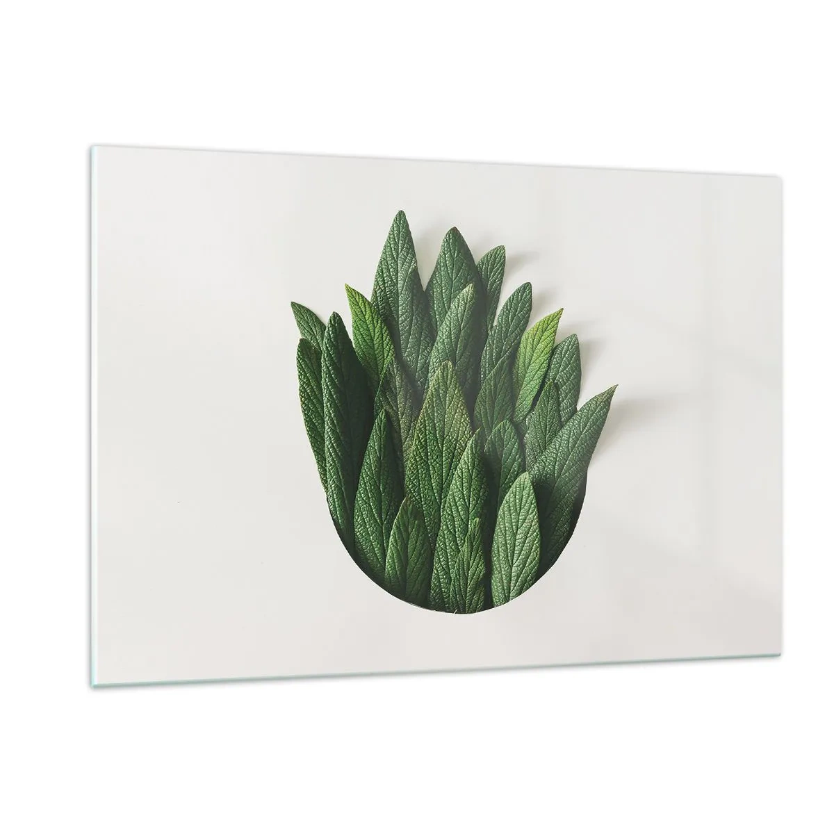 Impression sur verre - Image sur verre - Feuilles vertes disposées en forme de vase sur fond blanc - 120x80cm - Curiosité sans retenue - Décoration murale moderne pour le salon et la chambre ARTTOR