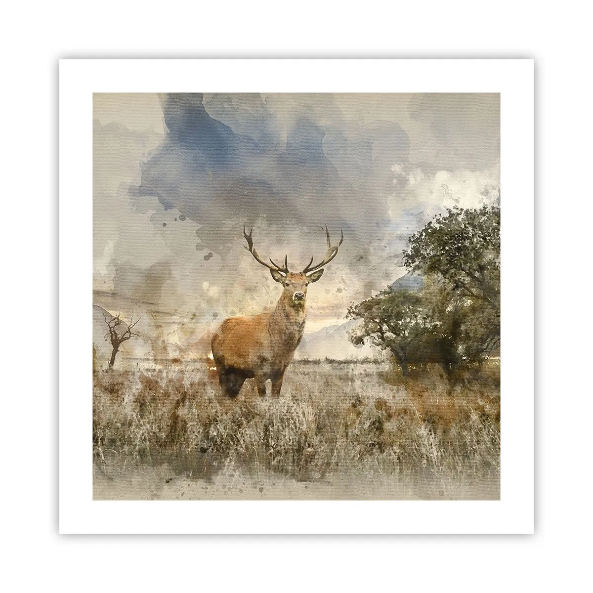 Affiche - Poster - Dignité - force - majesté - 50x50 cm