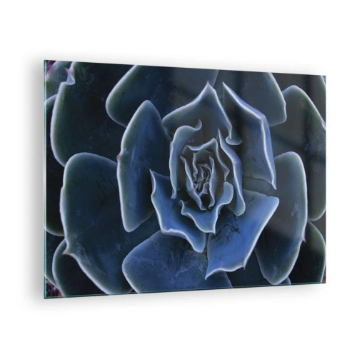 Impression sur verre - Image sur verre - Photographie macro d'une succulente dans des tons de bleu froid - 70x50cm - Fleur du désert - Décoration murale moderne pour le salon et la chambre ARTTOR