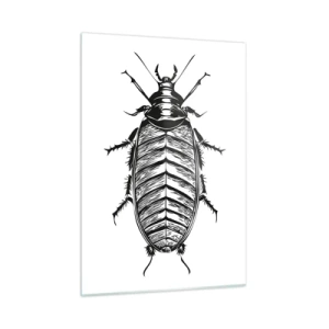 Impression sur verre - Image sur verre - Illustration en noir et blanc d'un insecte sur fond blanc - 50x70cm - Quel spécimen! - Décoration murale moderne pour le salon et la chambre ARTTOR