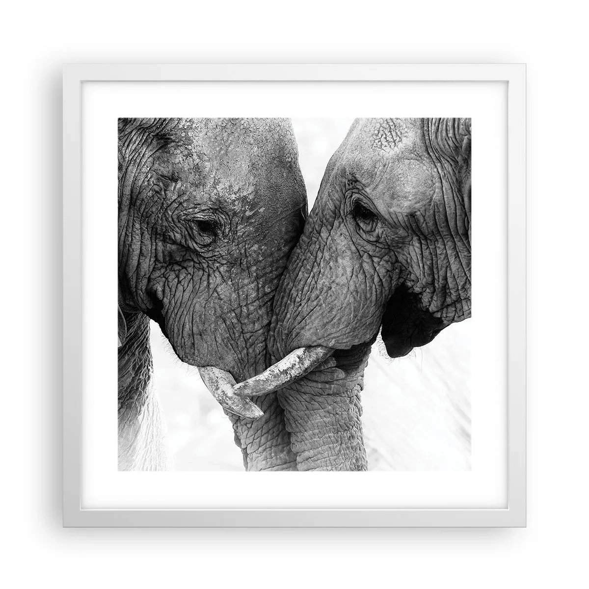 Affiche dans un cadre blanc - Poster - Confession sincère - 40x40 cm