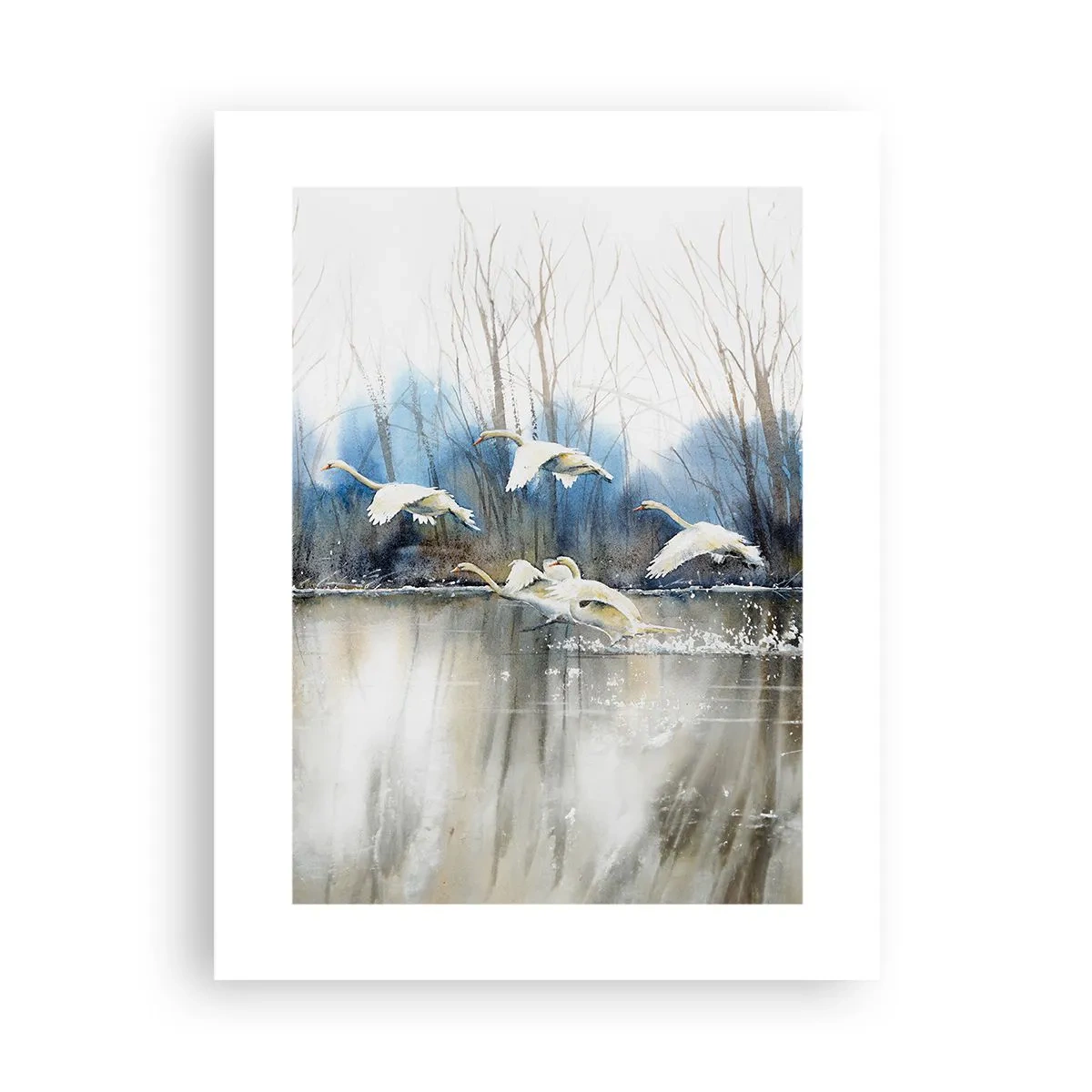 Affiche - Poster - Comme dans un conte de fées sur les cygnes sauvages - 30x40 cm