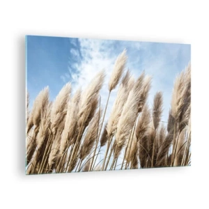 Impression sur verre - Image sur verre - Herbes de pampa décoratives contre un ciel bleu - 70x50cm - Caresse ensoleillée et venteuse - Décoration murale moderne pour le salon et la chambre ARTTOR