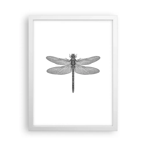 Affiche dans un cadre blanc - Poster - Précision de la nature - 30x40 cm