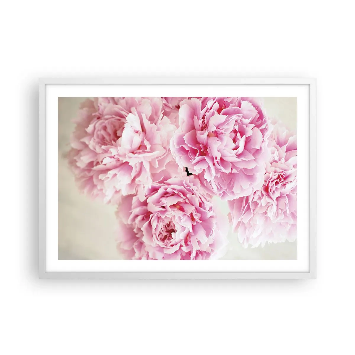 Affiche dans un cadre blanc - Poster - En glamour rose - 70x50 cm