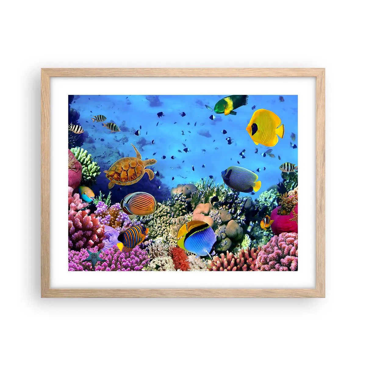 Affiche dans un chêne clair - Poster - Et que sait-on de la vie… - 50x40 cm