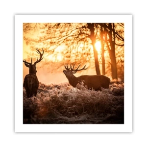 Affiche - Poster - Le rêve d'un chasseur - 50x50 cm