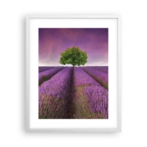 Affiche dans un cadre blanc - Poster - Dans un champs de lavande - 40x50 cm