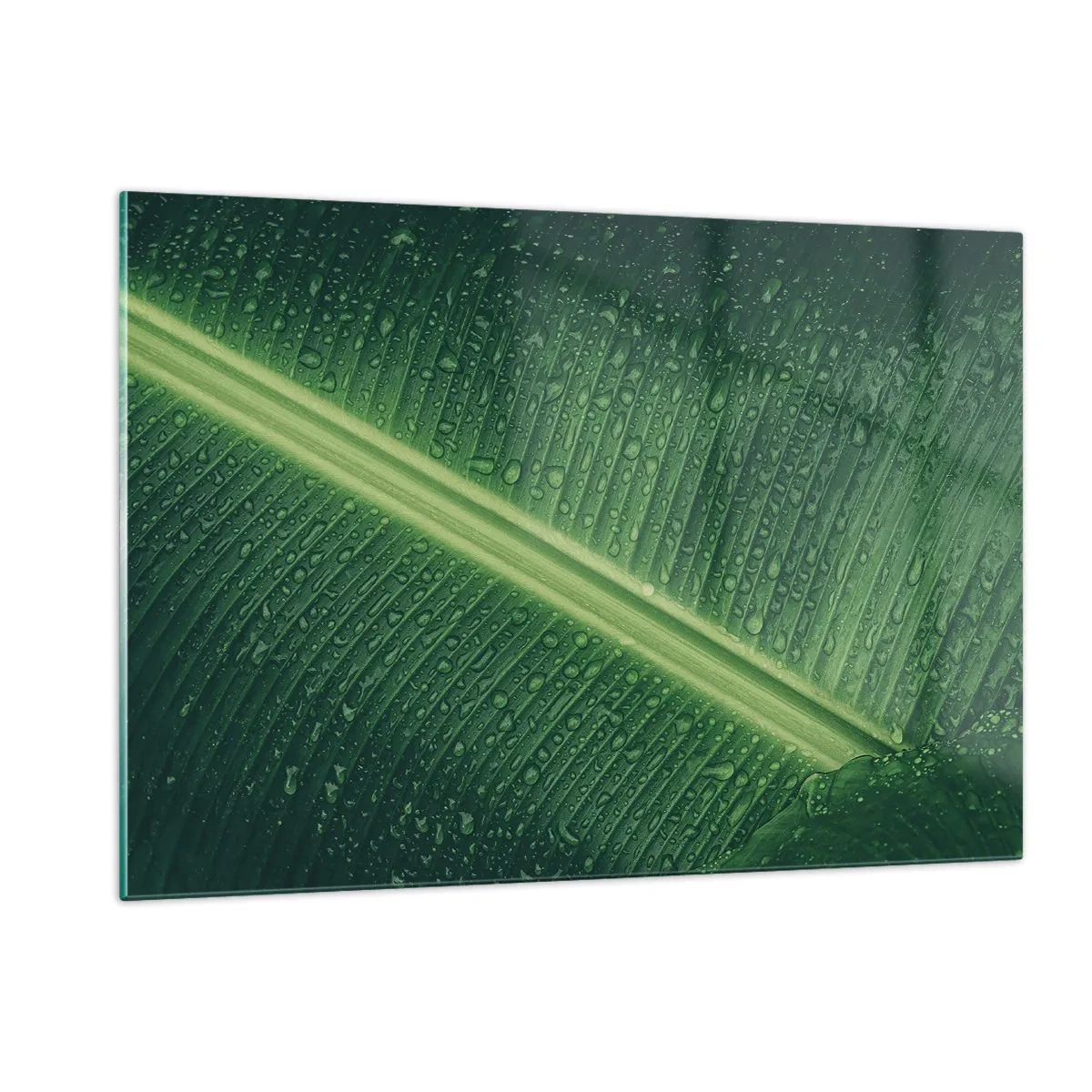 Impression sur verre - Image sur verre - Gros plan d'une feuille verte avec des gouttes d'eau - 120x80cm - Structure de vert - Décoration murale moderne pour le salon et la chambre ARTTOR