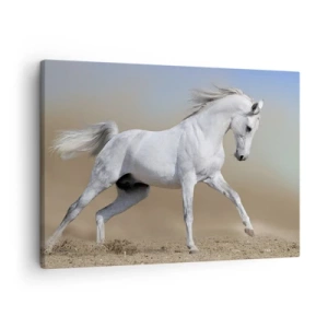 Impression sur toile - Image sur toile - Un cheval blanc galopant à travers un paysage désertique - 70x50cm - Le plus beau conte de fées arabe - Décoration murale moderne pour le salon et la chambre ARTTOR