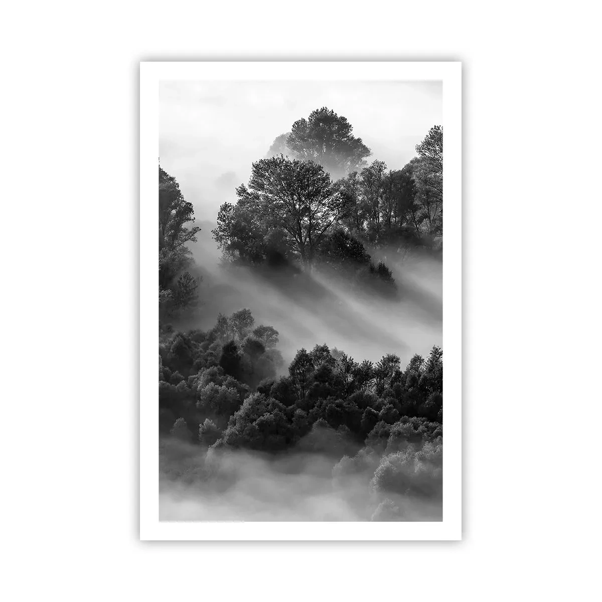 Affiche - Poster - Sortir de son sommeil - 61x91 cm