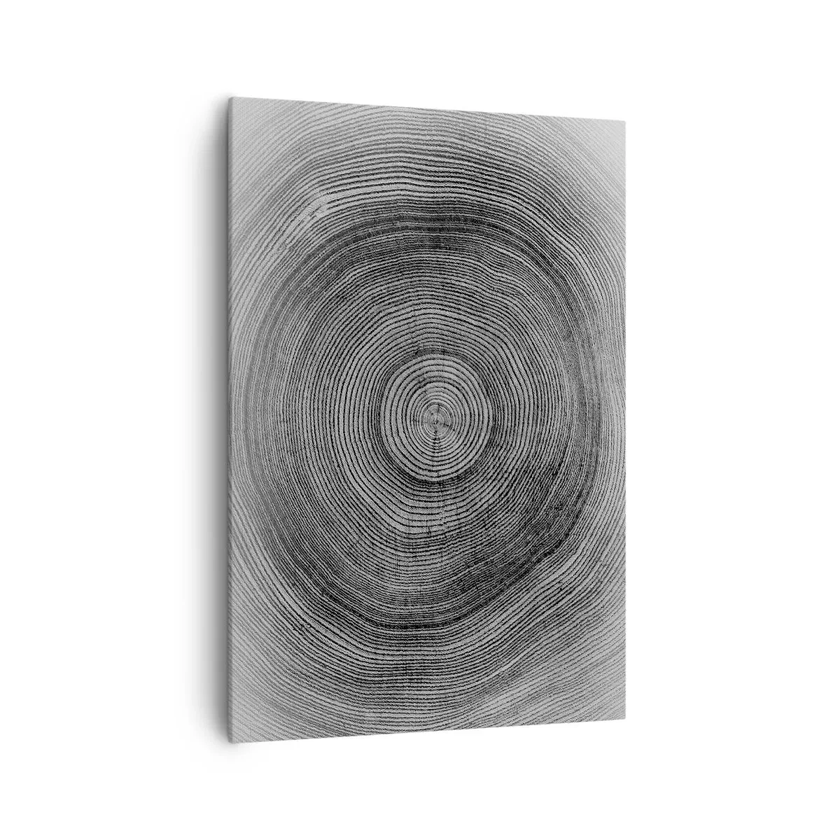 Impression sur toile - Image sur toile - Motif de cernes d'arbre noir et blanc montrant une coupe transversale du tronc - 70x100cm - Signe du temps - Décoration murale moderne pour le salon et la chambre ARTTOR