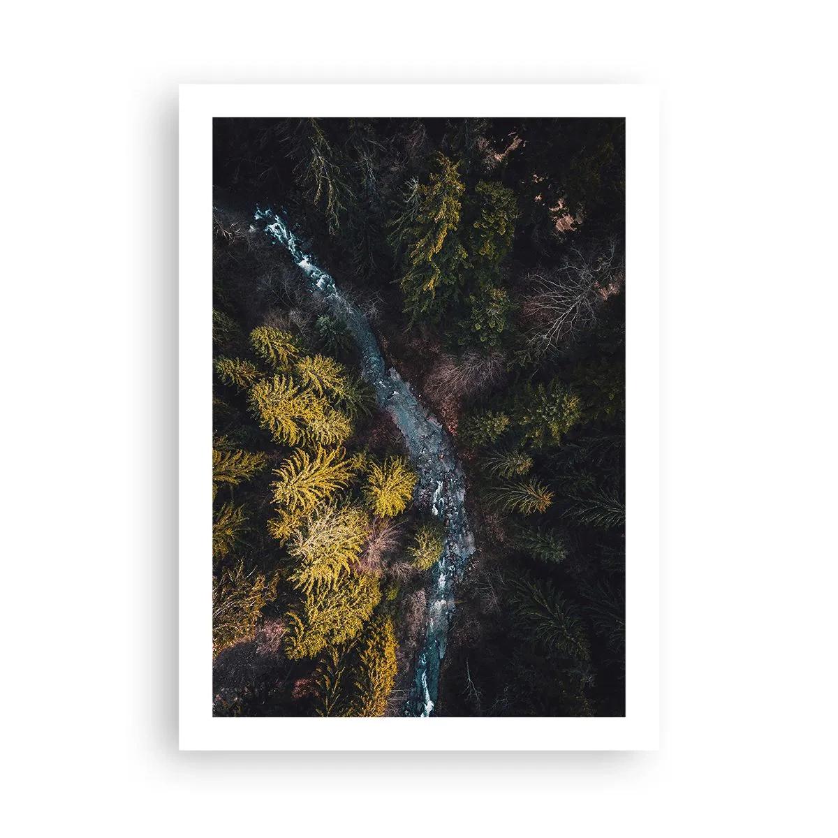 Affiche - Poster - Vue aérienne d'un ruisseau forestier - 50x70cm - De plus en plus vite - Décoration murale moderne pour le salon et la chambre ARTTOR