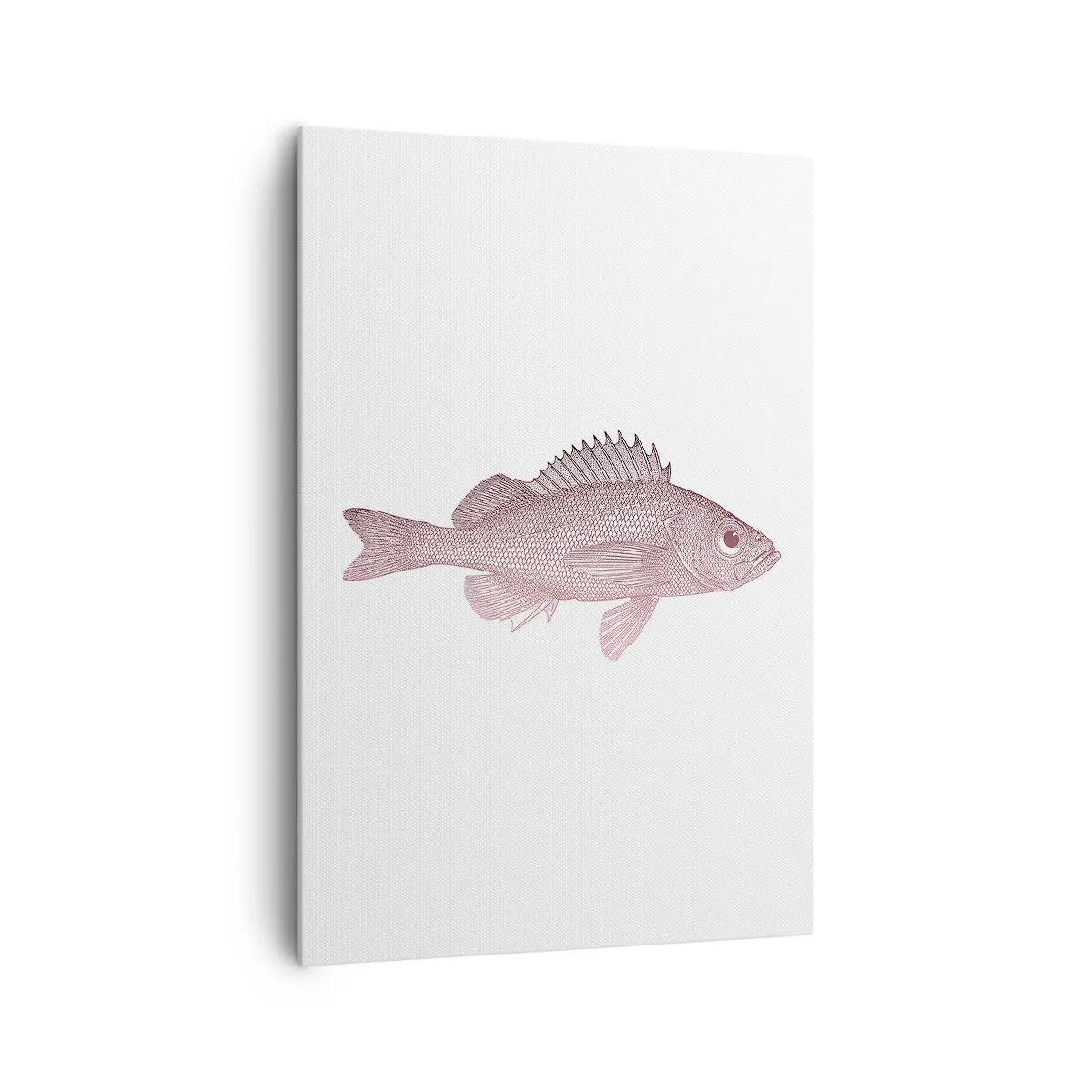 Impression sur toile - Image sur toile - Illustration détaillée d'un poisson sur fond blanc - 70x100cm - Poisson aux grands yeux - Décoration murale moderne pour le salon et la chambre ARTTOR