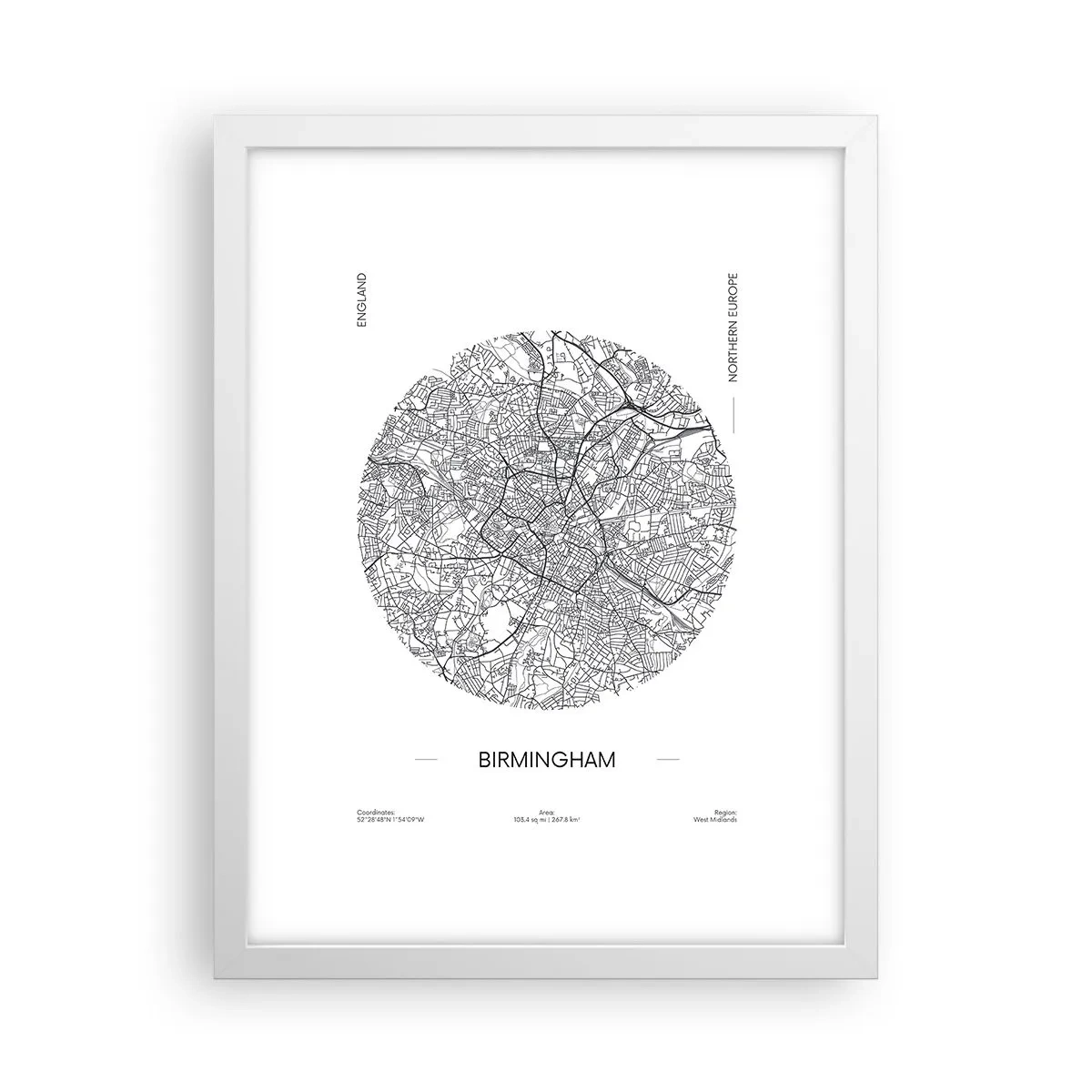 Affiche dans un cadre blanc - Poster - Anatomie de Birmingham - 30x40 cm