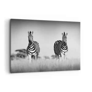 Impression sur toile - Image sur toile - Deux zèbres dans la savane dans un style monochrome - 100x70cm - Le monde est bel et bien noir et blanc - Décoration murale moderne pour le salon et la chambre ARTTOR