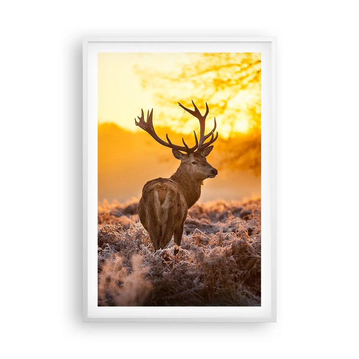 Affiche dans un cadre blanc - Poster - Roi de la forêt automnal - 61x91 cm