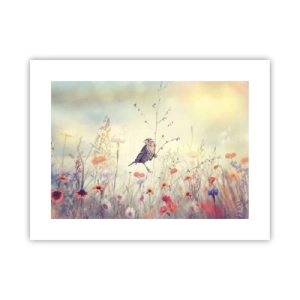 Affiche - Poster - Portrait d'oiseau sur pré en fond - 40x30 cm