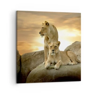 Impression sur toile - Image sur toile - Majesté royale - 50x50 cm