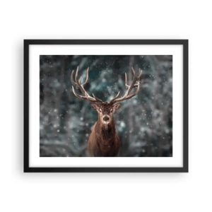 Affiche dans un cadre noir - Poster - Roi de la forêt couronné - 50x40 cm