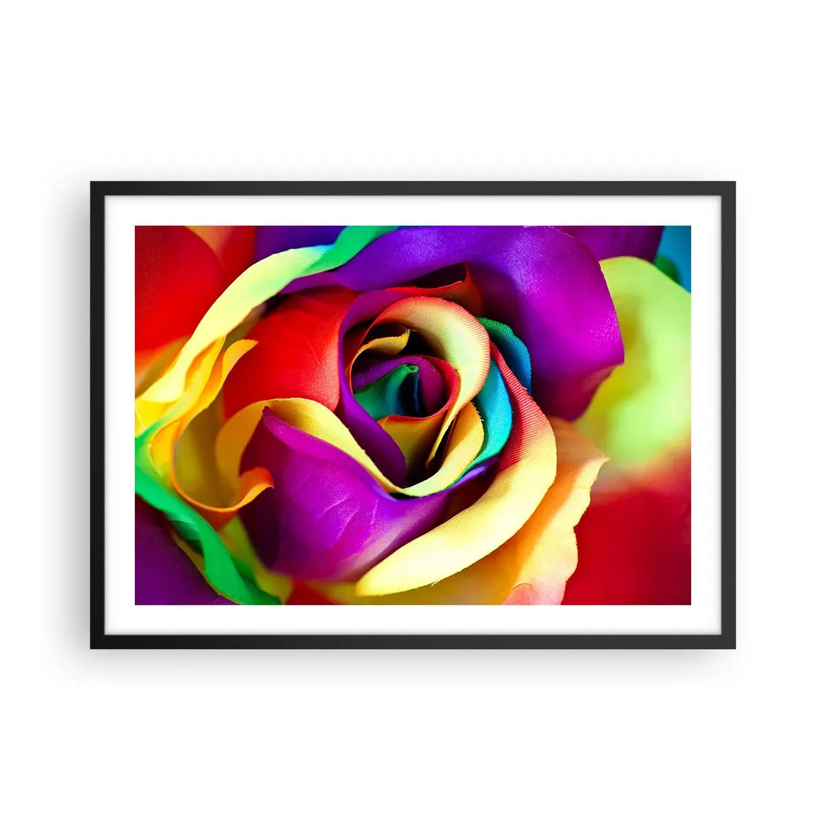 Affiche dans un cadre noir - Poster - Une rose colorée aux nuances de l'arc-en-ciel - 70x50cm - Ce n'est pas possible - Décoration murale moderne pour le salon et la chambre ARTTOR