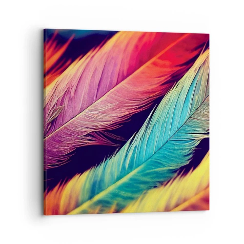 Impression sur toile - Image sur toile - Arc-en-ciel de plumes - 70x70 cm