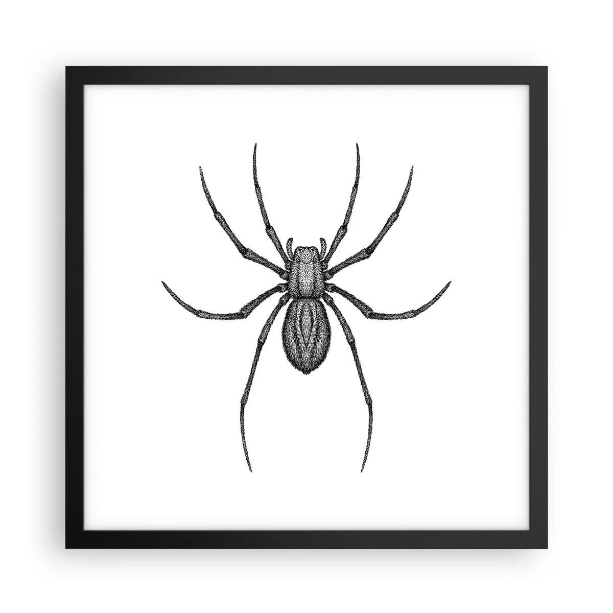 Affiche dans un cadre noir - Poster - Une précision troublante - 40x40 cm