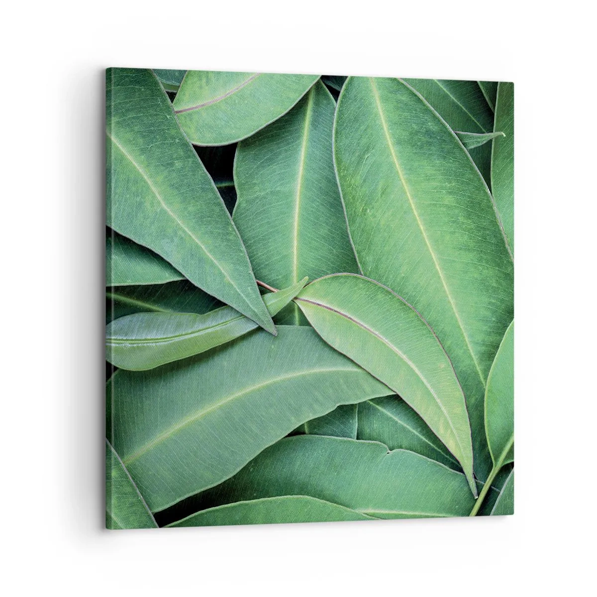 Impression sur toile - Image sur toile - Juteux et frais - 60x60 cm