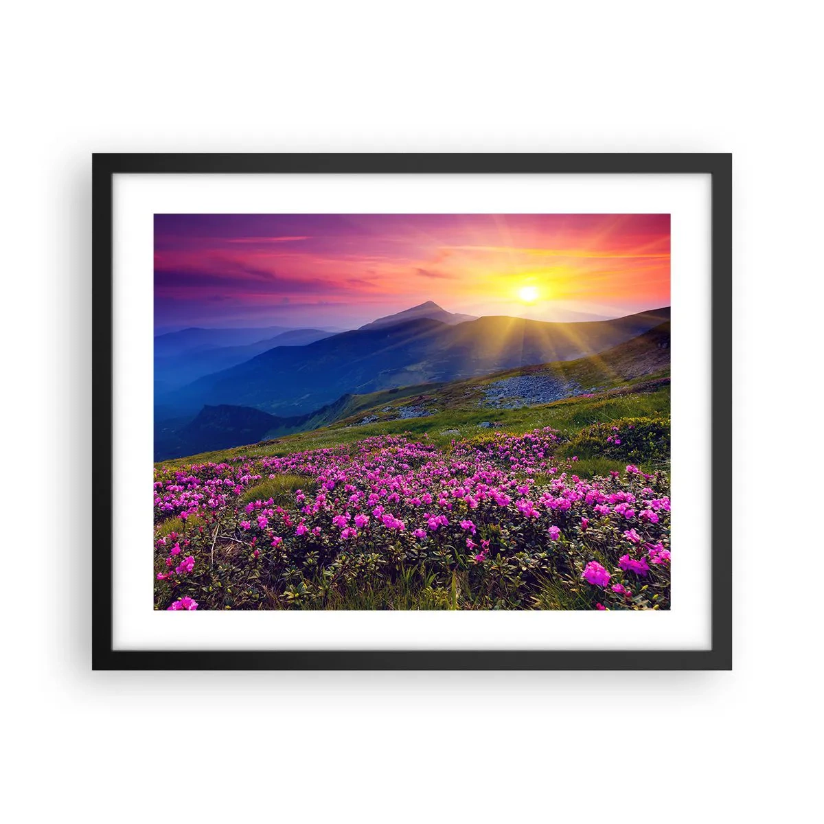 Affiche dans un cadre noir - Poster - … Et autour, ça sent le pin des montagnes et l'odeur de la prairie - 50x40 cm