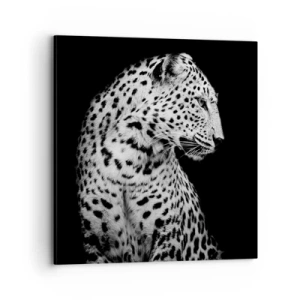 Impression sur toile - Image sur toile - Presque un profil parfait! - 70x70 cm