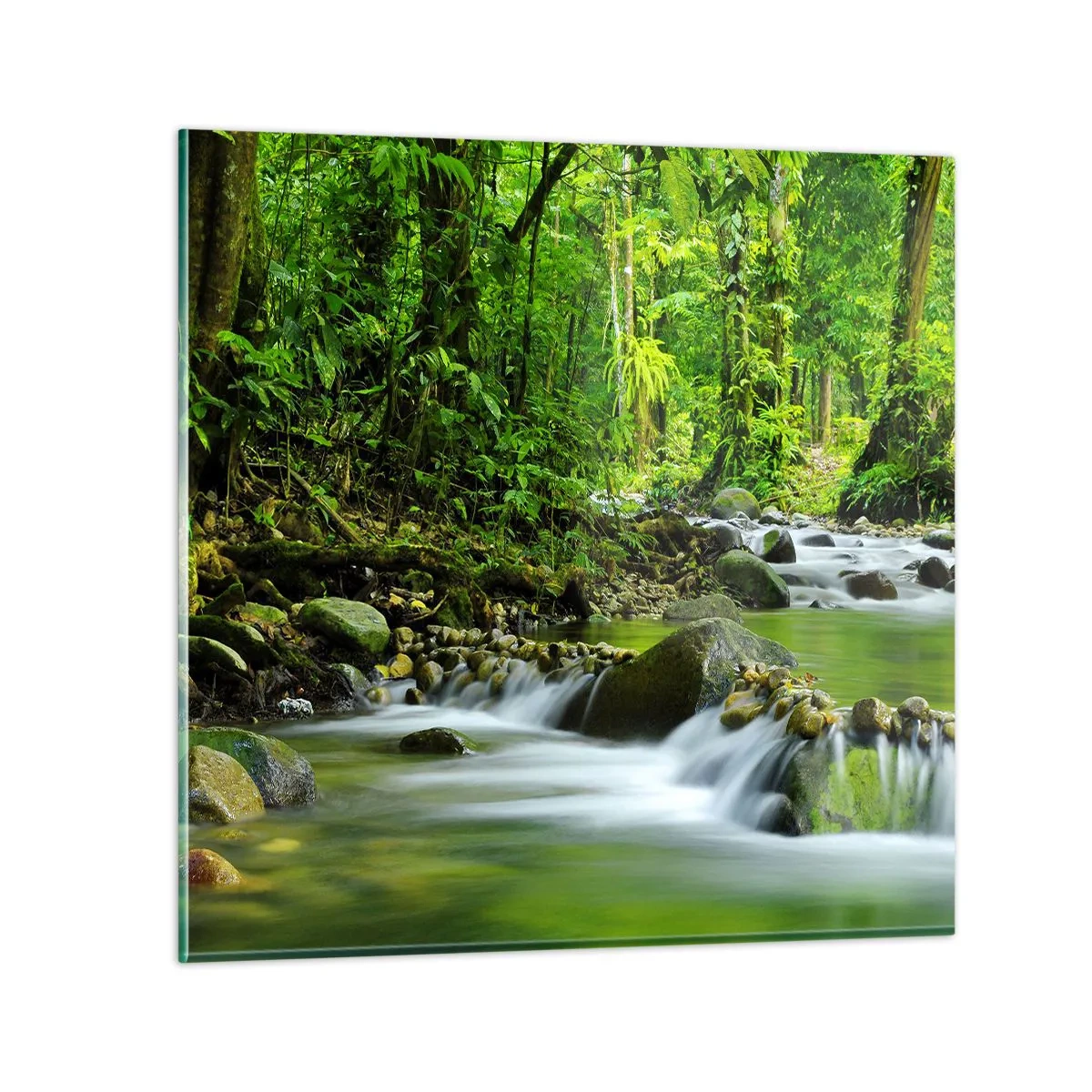 Impression sur verre - Image sur verre - Nager dans un océan de verdure - 30x30 cm